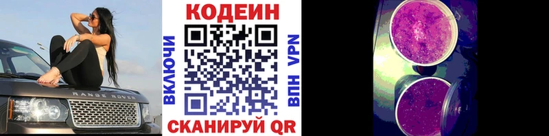 Кодеин Purple Drank  Купить закладки  Зуевка 